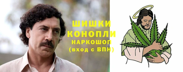 хмурый Михайловск