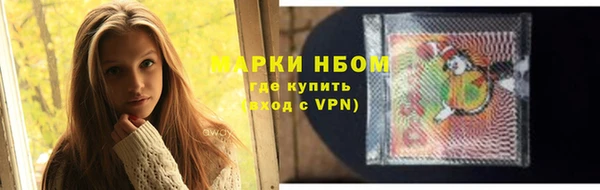 хмурый Михайловск