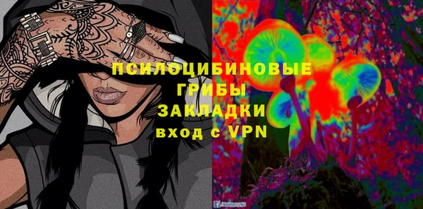 хмурый Михайловск