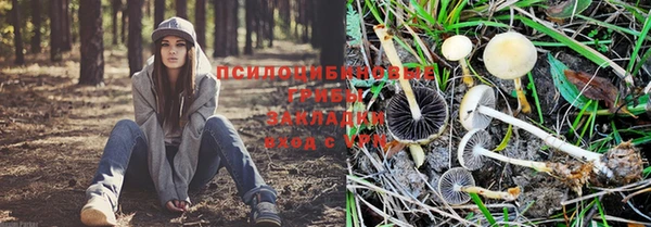 альфа пвп Михайловка