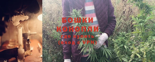тгк Михайлов