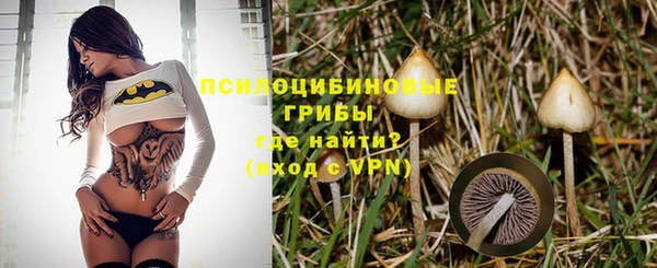 хмурый Михайловск