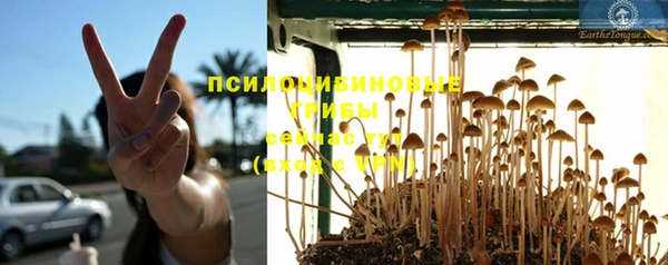 тгк Михайлов