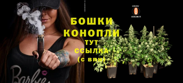 тгк Михайлов