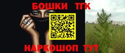 гашик Краснодар