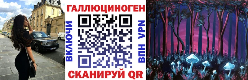 Псилоцибиновые грибы MAGIC MUSHROOMS  мега зеркало  Черняховск  darknet клад  наркотики 