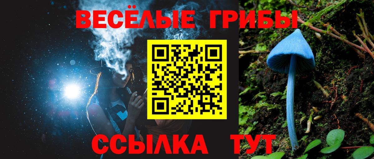 Псилоцибиновые грибы Magic Shrooms  Галлюциногенные грибы ЛСД  купить наркотики цена  Вход с VPN  Черняховск 