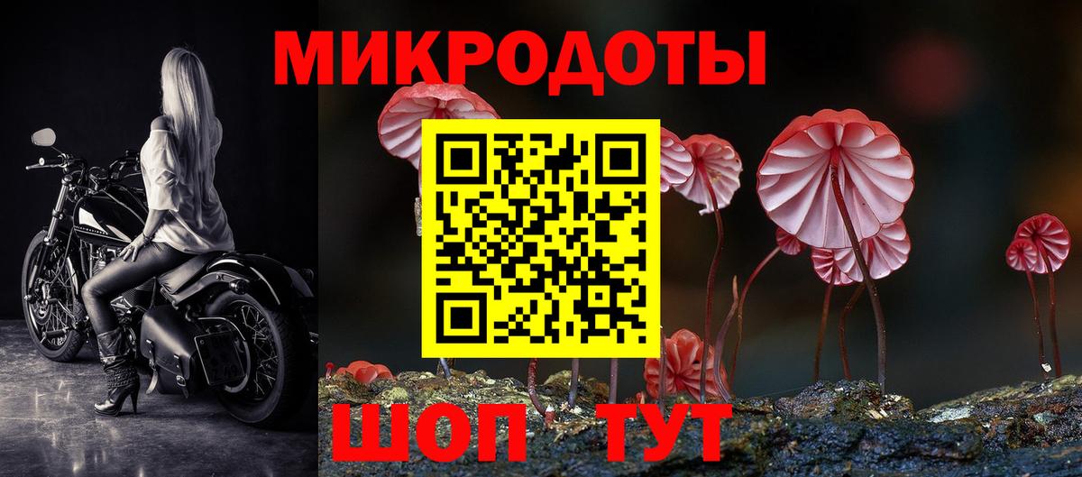 Псилоцибиновые грибы Psilocybine cubensis  Псилоцибиновые грибы Psilocybe  Черняховск 