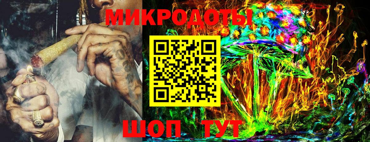 Псилоцибиновые грибы мицелий Черняховск