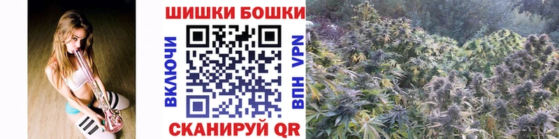 Каннабис план Черняховск